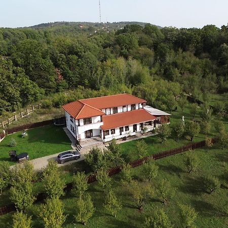 Pensiunea Emelys, Iasi Barnova المظهر الخارجي الصورة