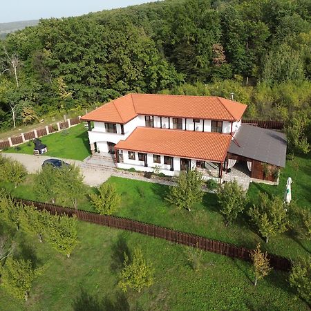 Pensiunea Emelys, Iasi Barnova المظهر الخارجي الصورة