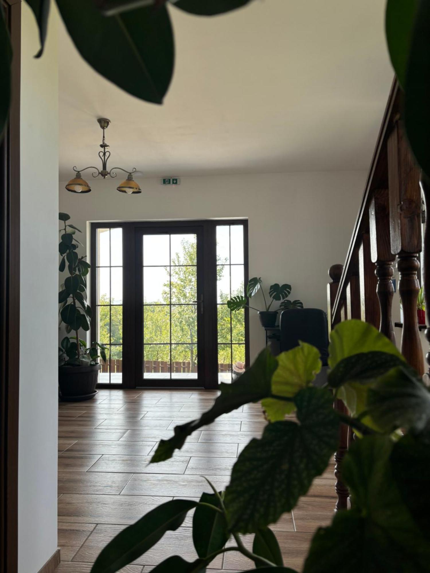 Pensiunea Emelys, Iasi Barnova المظهر الخارجي الصورة