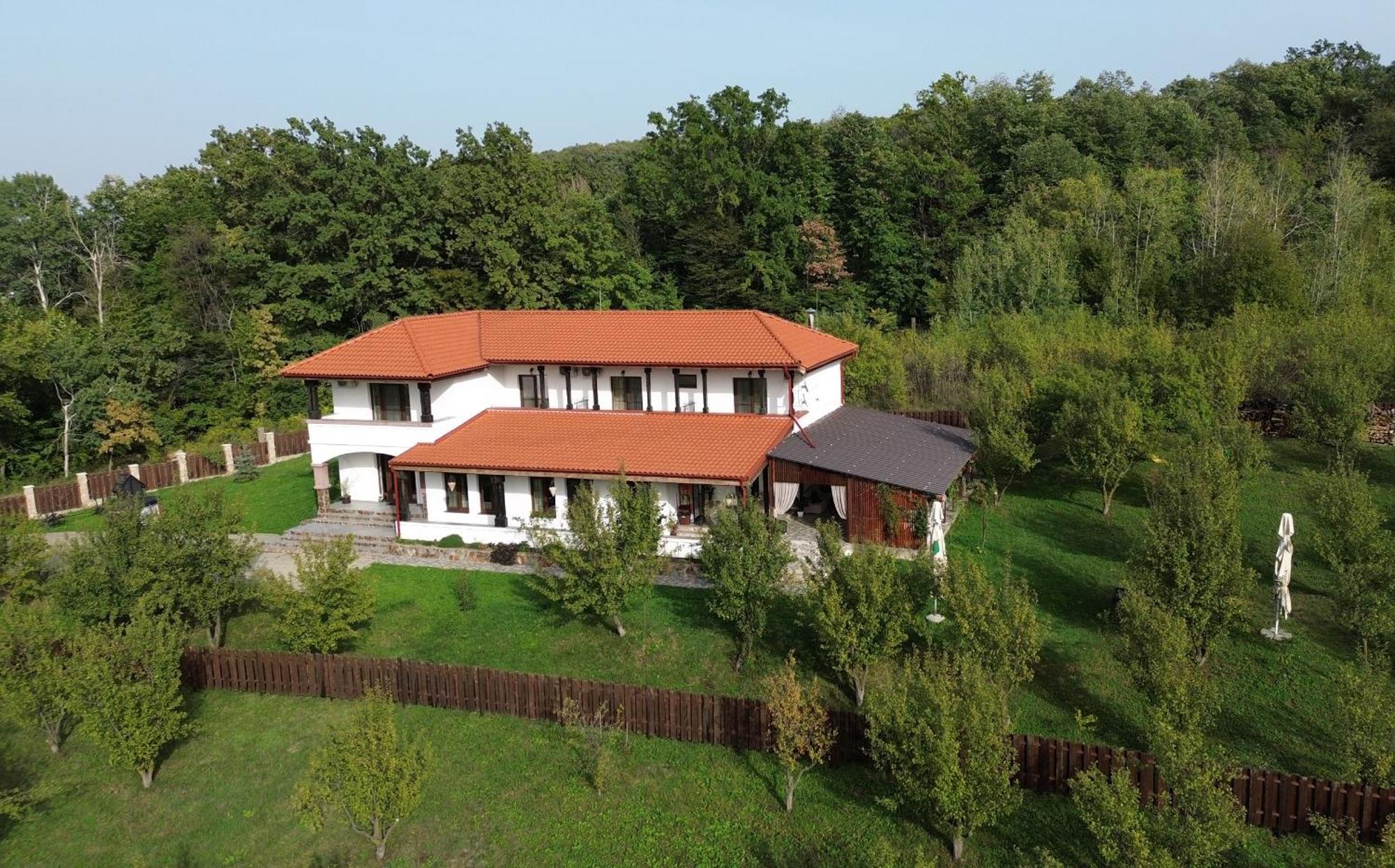 Pensiunea Emelys, Iasi Barnova المظهر الخارجي الصورة