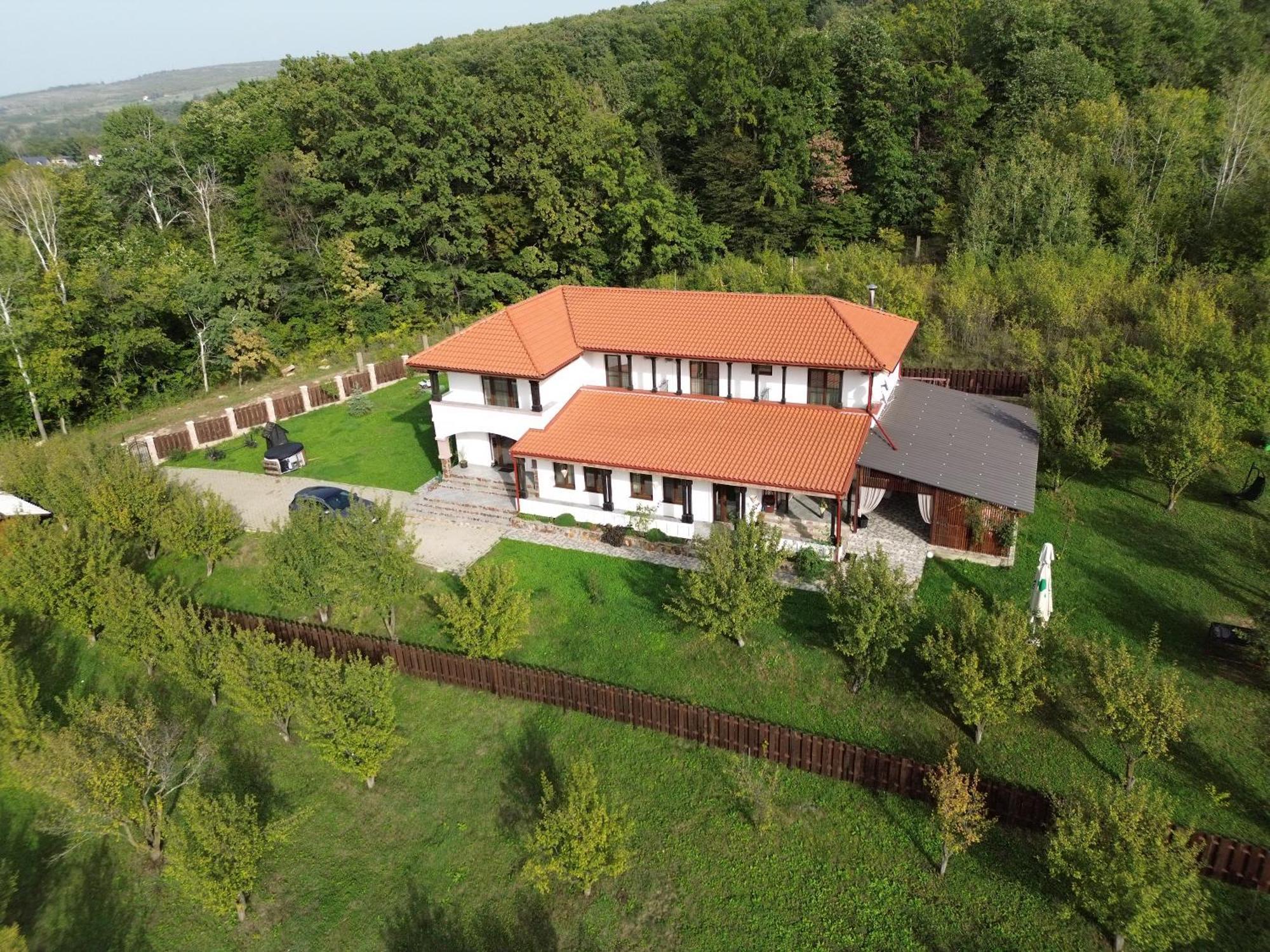 Pensiunea Emelys, Iasi Barnova المظهر الخارجي الصورة