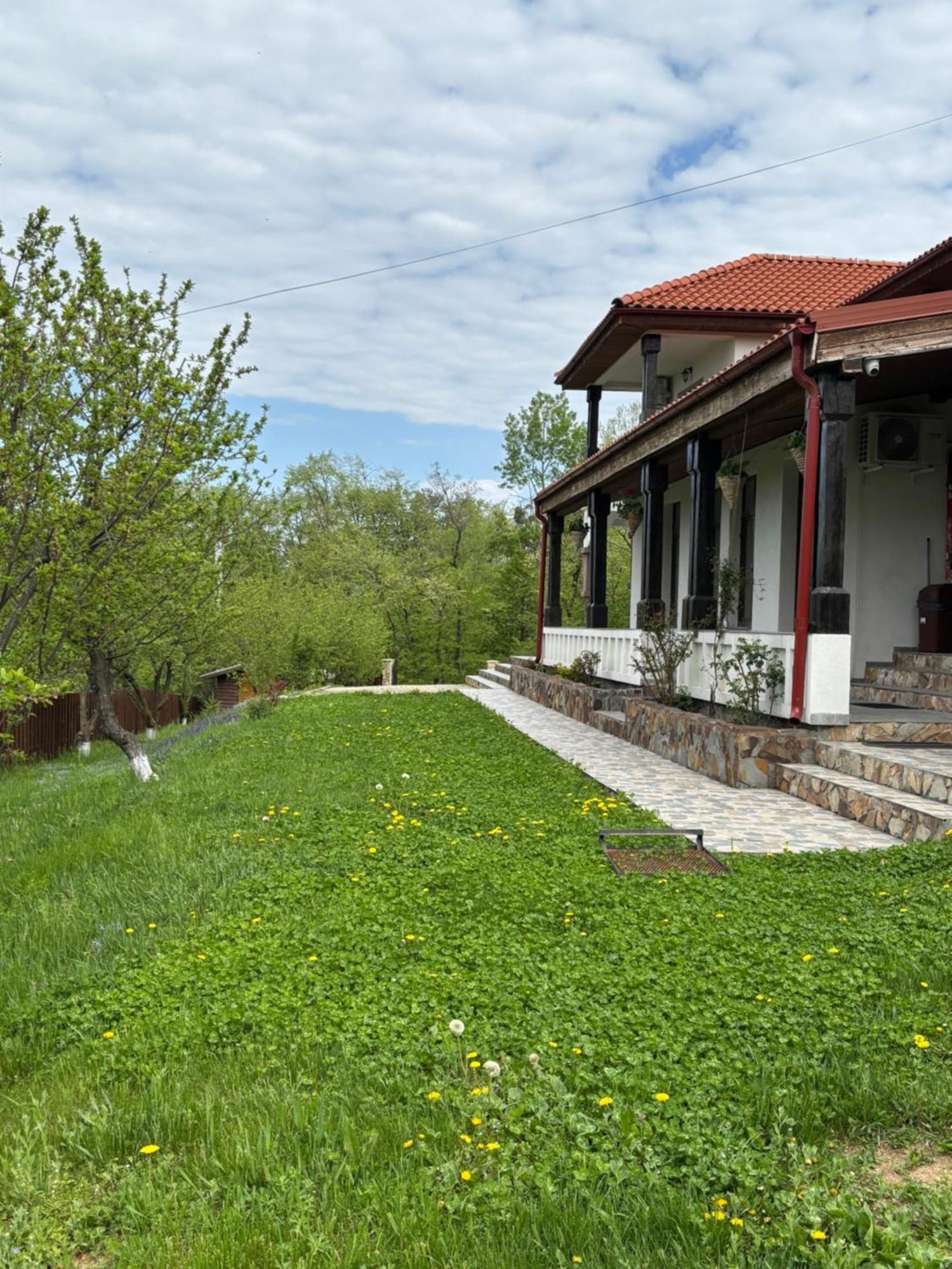 Pensiunea Emelys, Iasi Barnova المظهر الخارجي الصورة