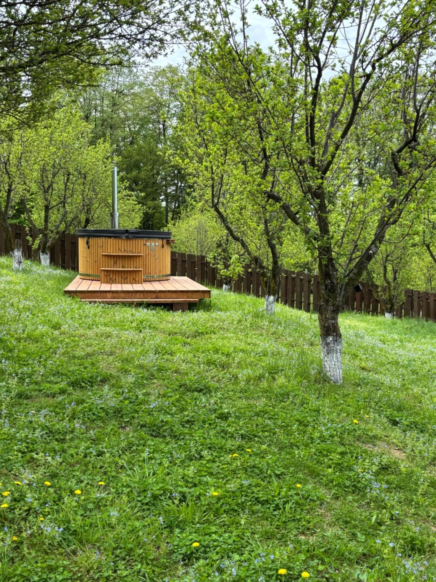 Pensiunea Emelys, Iasi Barnova المظهر الخارجي الصورة